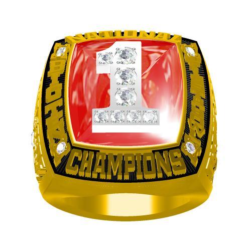 2002 Ohio State Buckeyes OSU Big Ten Championship Ring