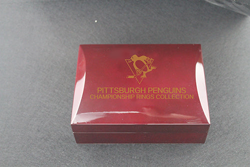 Pittsburgh Penguins 1991-1992-2009 Stanley Cup Finals NHL Championship Ring Collection