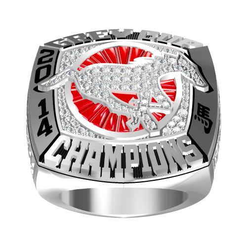 Custom Calgary Stampeders 2014 CFL 102nd Grey Cup Championship Ring With Red Ruby