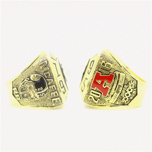 Custom 1995 Pittsburgh Steelers American Football Championship Ring