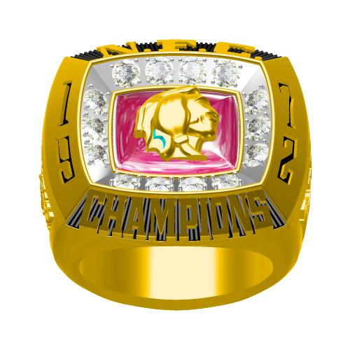 Custom 1972 Washington Redskins National Football Championship Ring